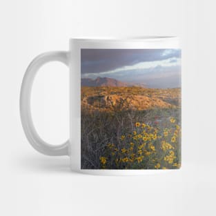 WGC_2362 Mug